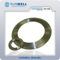 Sunwell Kammprofile Gasket with Loose Outer Ring